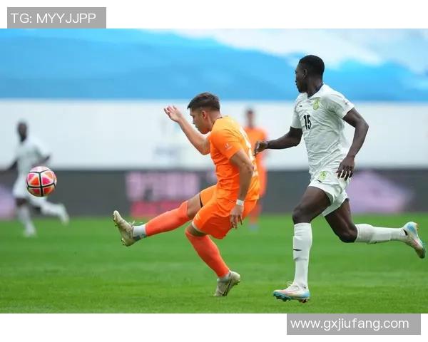 加纳男足明星球员介绍与成就分析包括阿尤兄弟和吉安等足球传奇